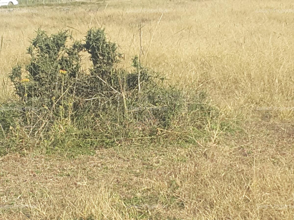 17 ac Land in Ongata Rongai - 2