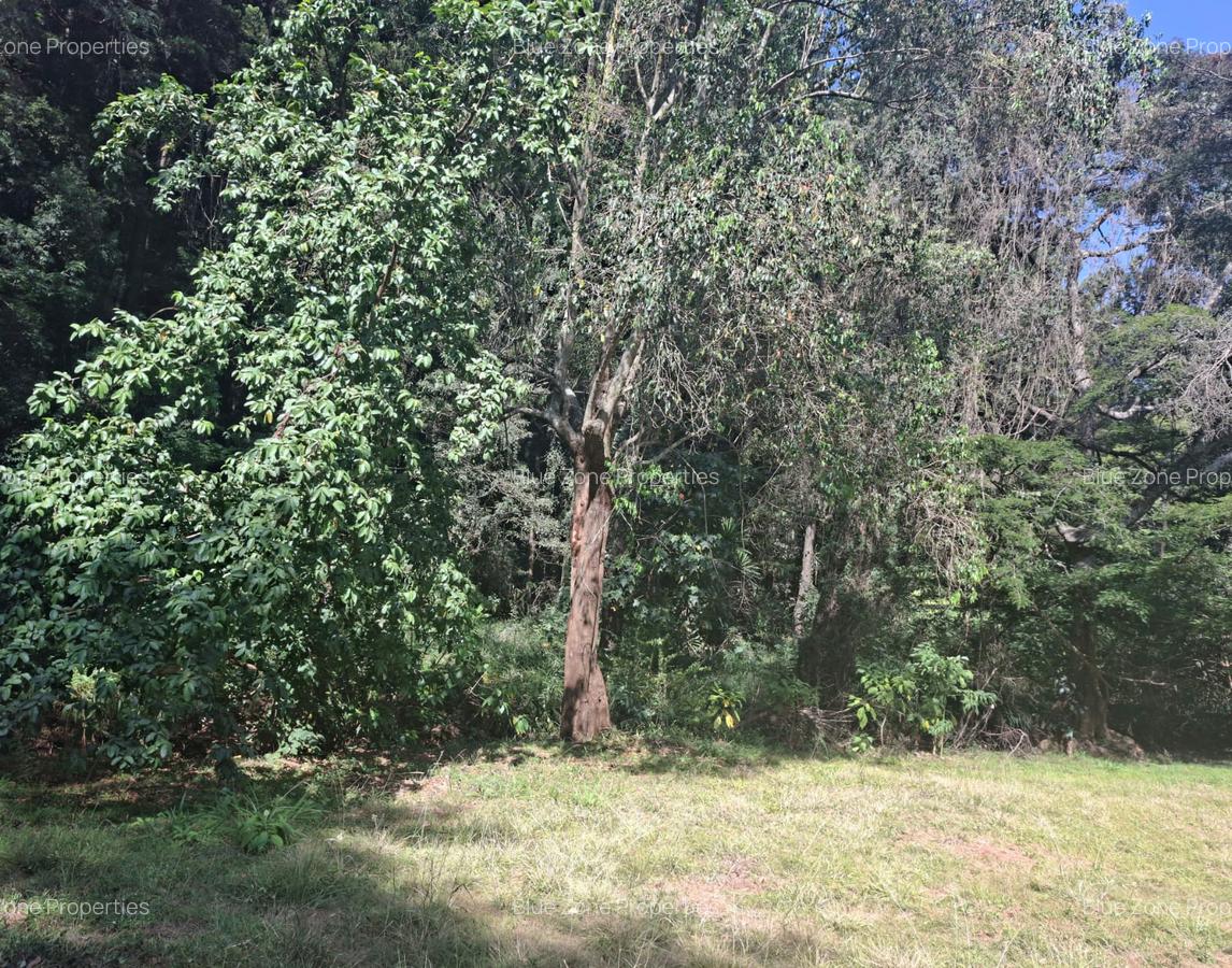 0.75 ac Residential Land at Off Naivasha Avenue - 1