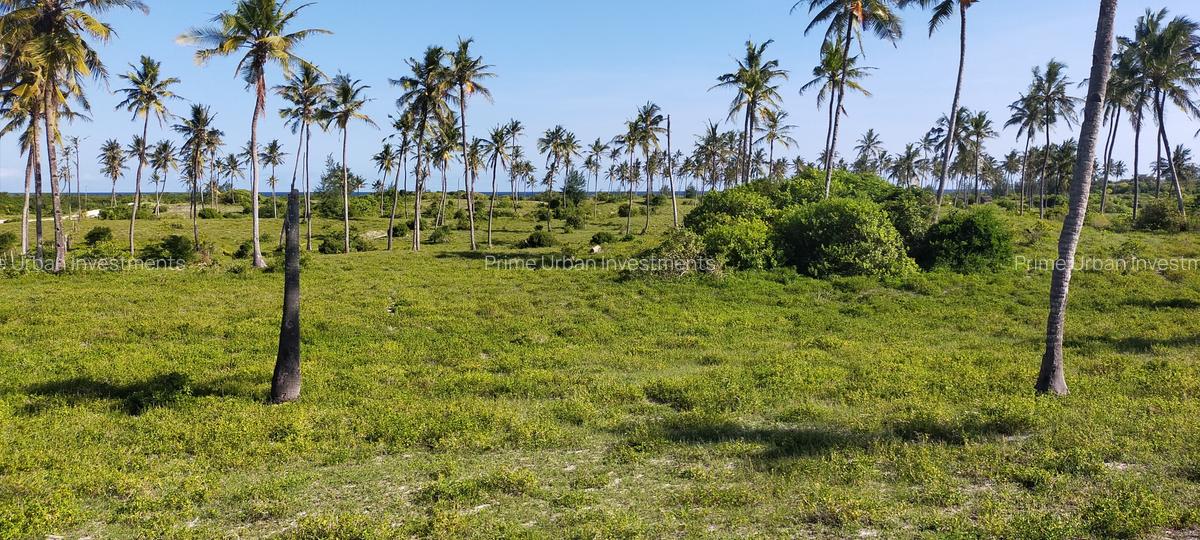 Land at Bofa Beach - 11