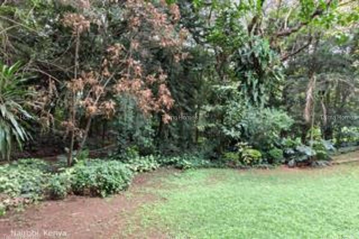0.75 ac Land at Near The Junction Mall - 2