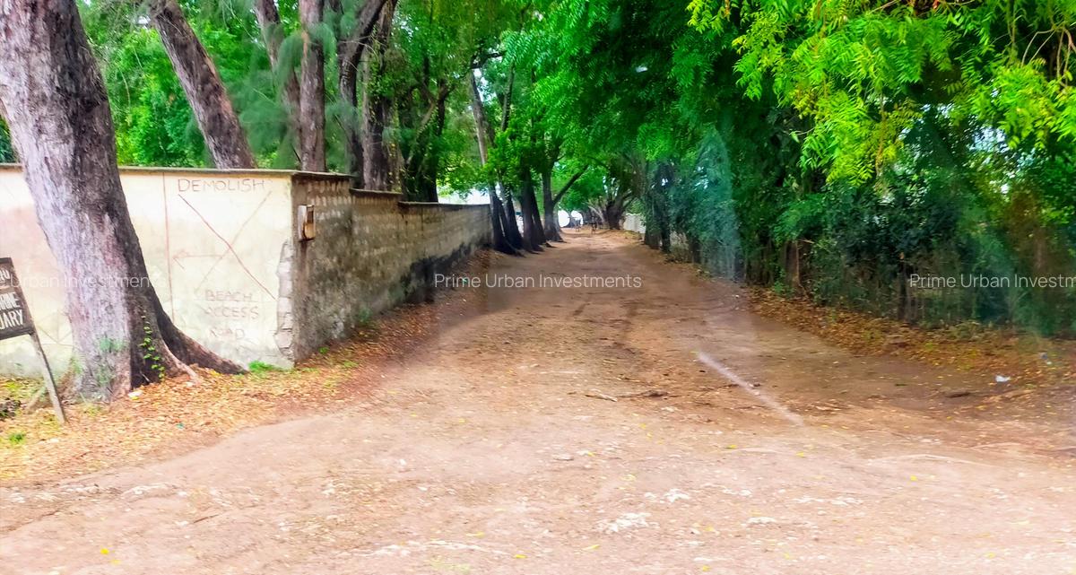 40 ac Land at Vipingo Kuruwitu - 4