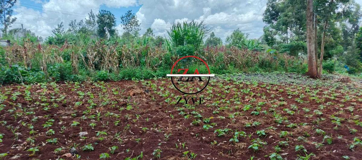0.125 ac Land at Off Ruaka Banana Road - 5