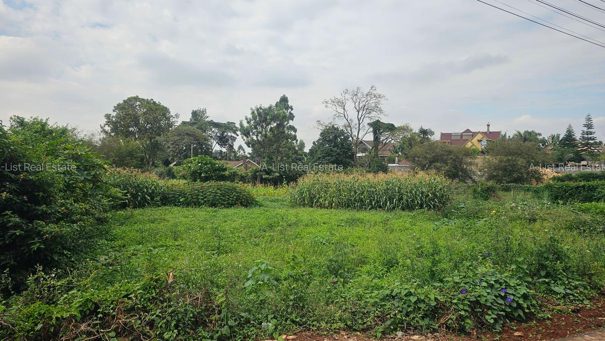 0.365 ac Land at Mushroom Road - 11