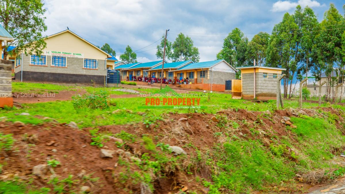 0.05 ha Residential Land at Nduiguine - 5