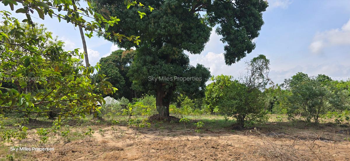 6 ac Land at Mtwapa - 4