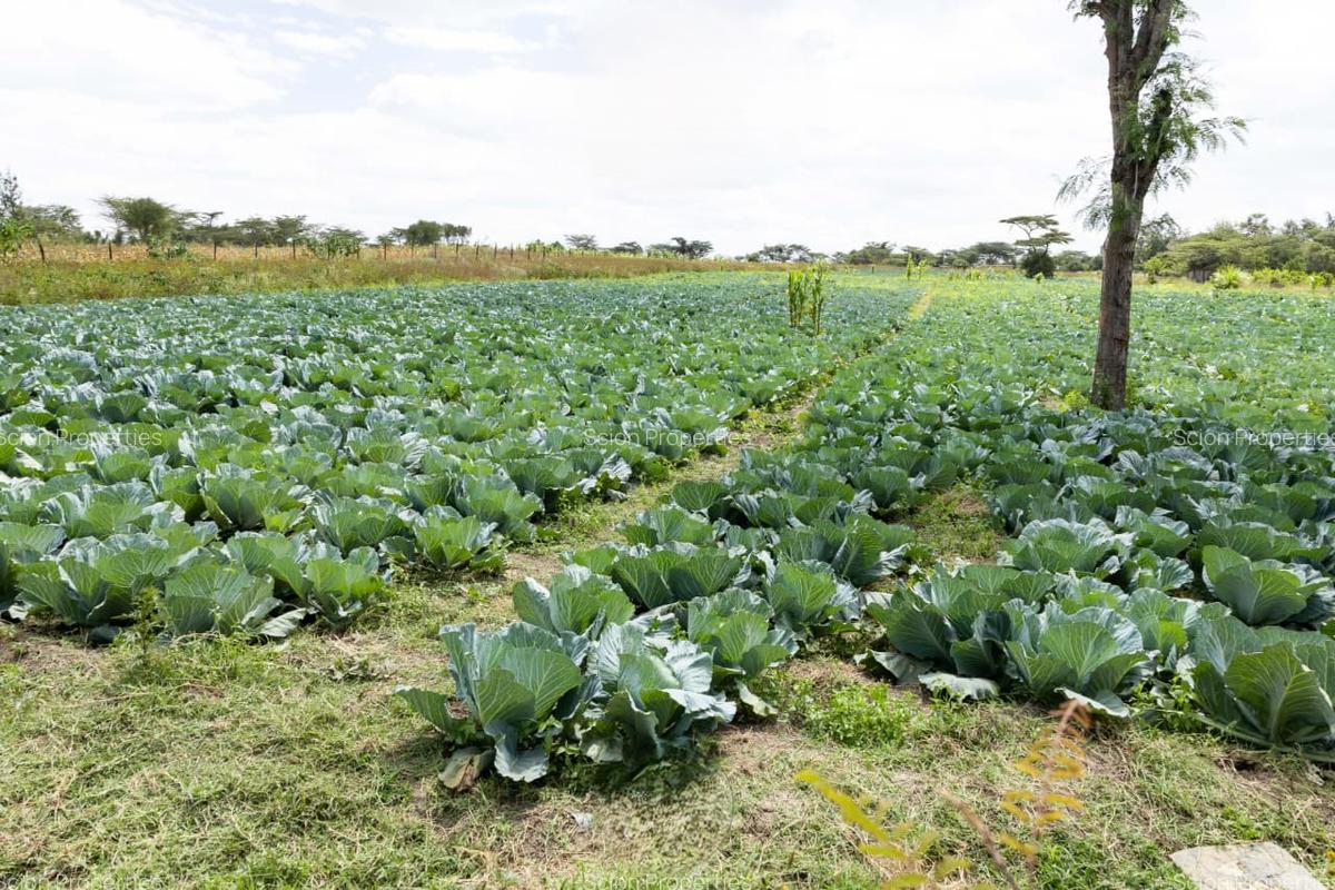 0.125 ac Residential Land in Nanyuki - 11