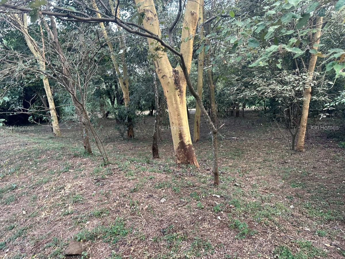 Land in Karen - 17