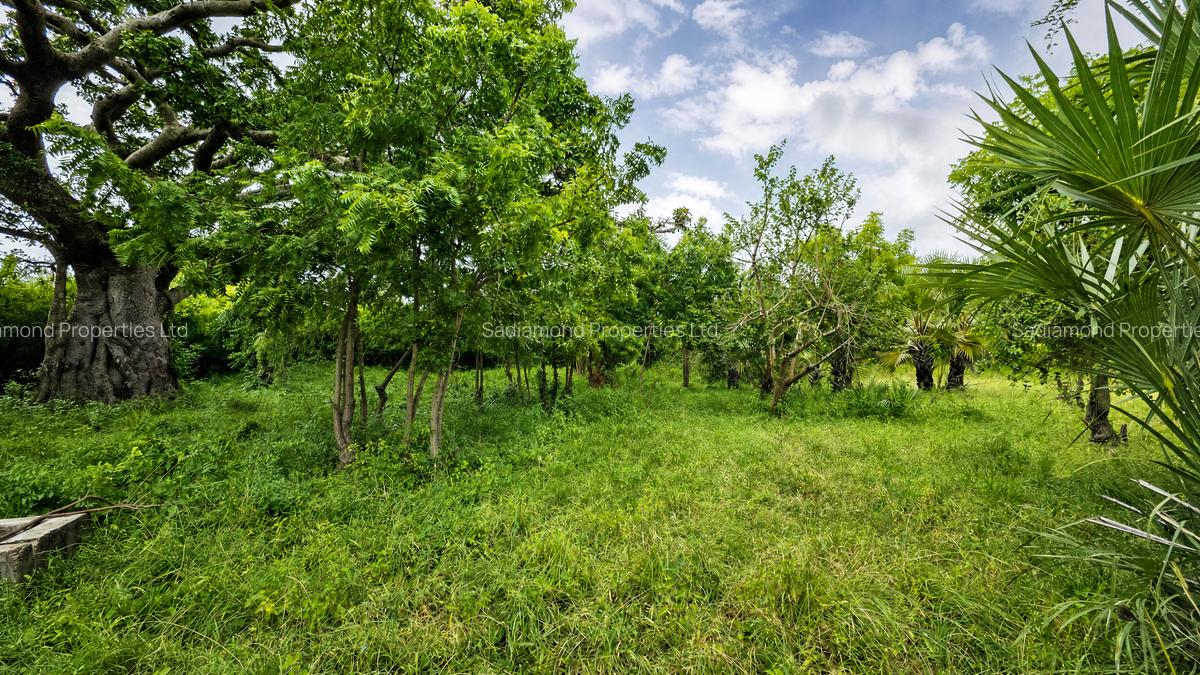 22 ac Land at Kondutsi - 4