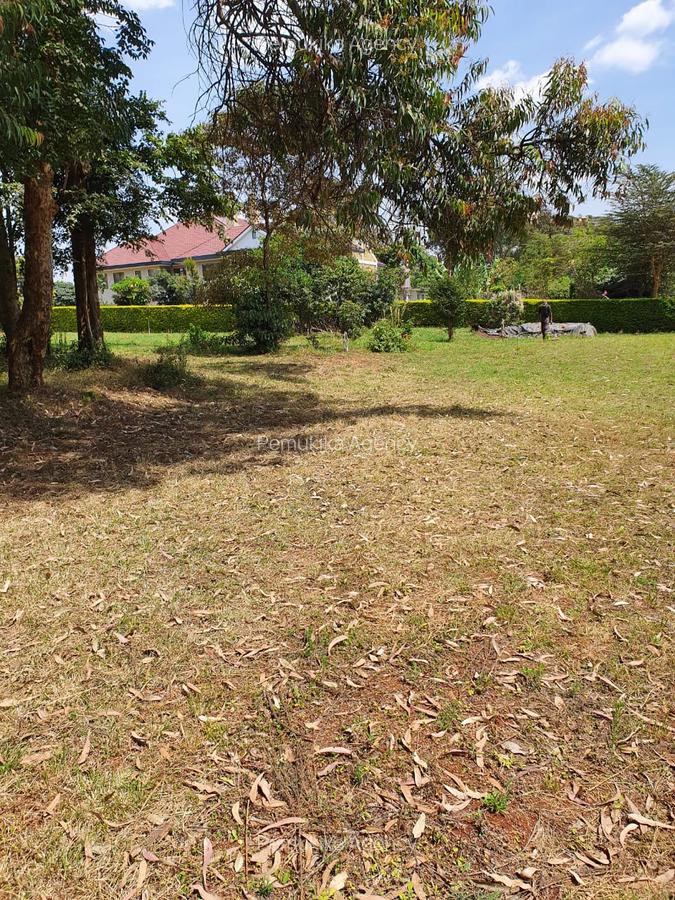 Residential Land at Karen The Hip Road - 9