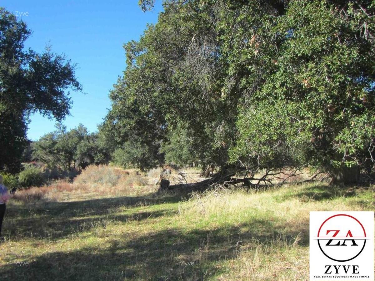 5 ac Land in Kitisuru - 3
