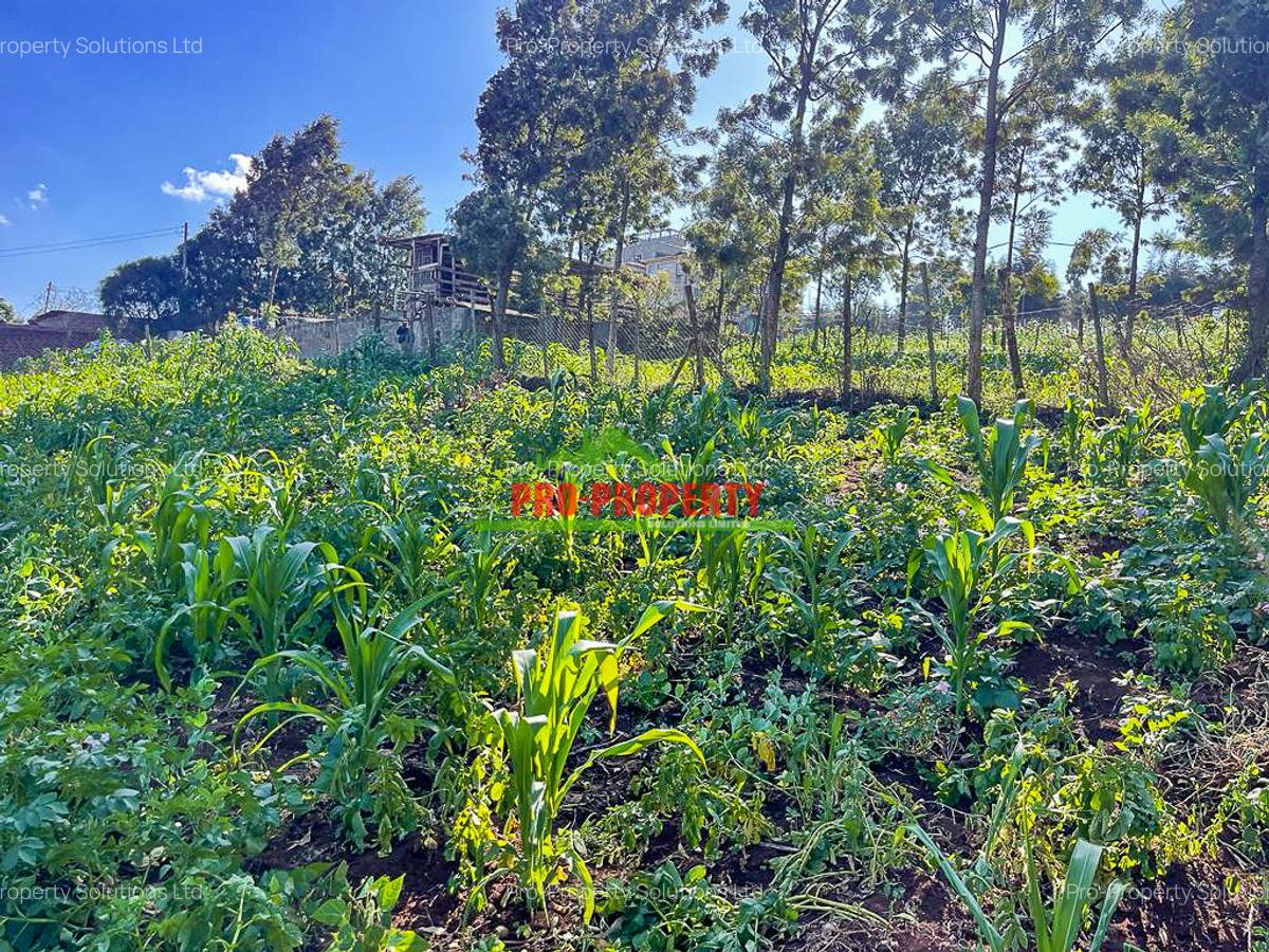 0.05 ha Commercial Land at Sigona - 8
