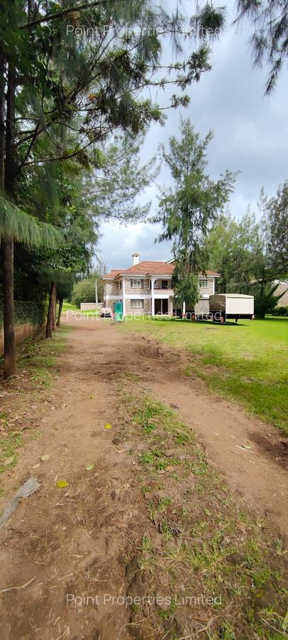 0.5 ac Commercial Property with Fibre Internet in Karen - 2