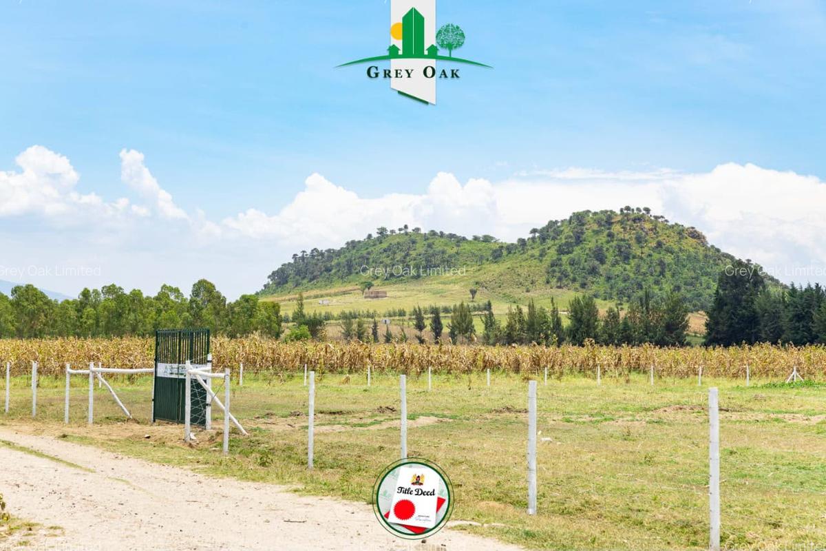 0.0430 ha Residential Land in Naivasha - 10