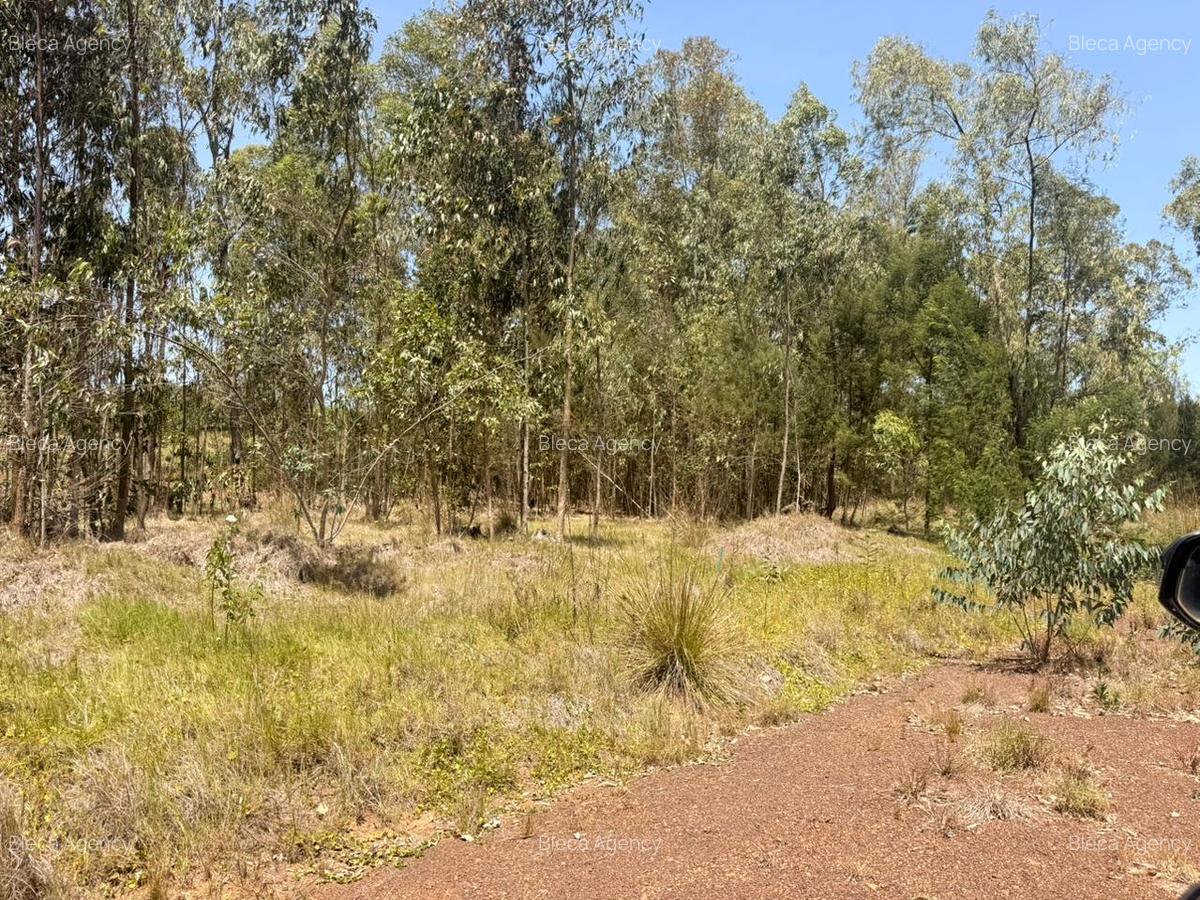 500 m² Land at Ruiru-Githunguri Road - 15