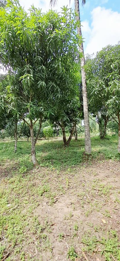 Land at Mtwapa - 19