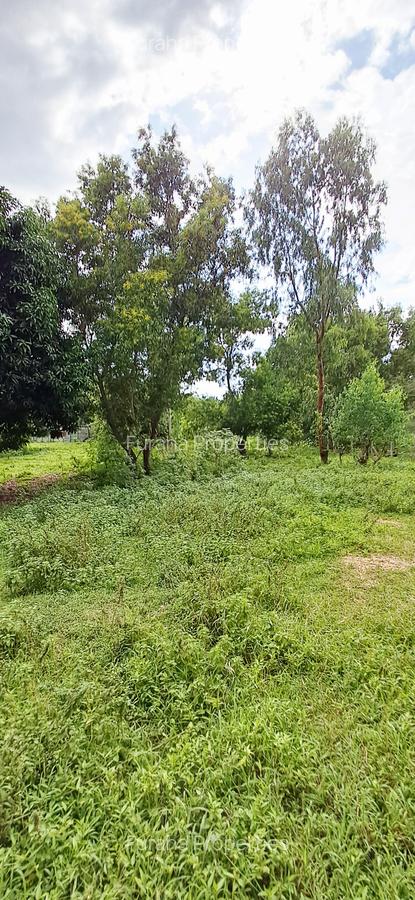 Land at Mtwapa - 18