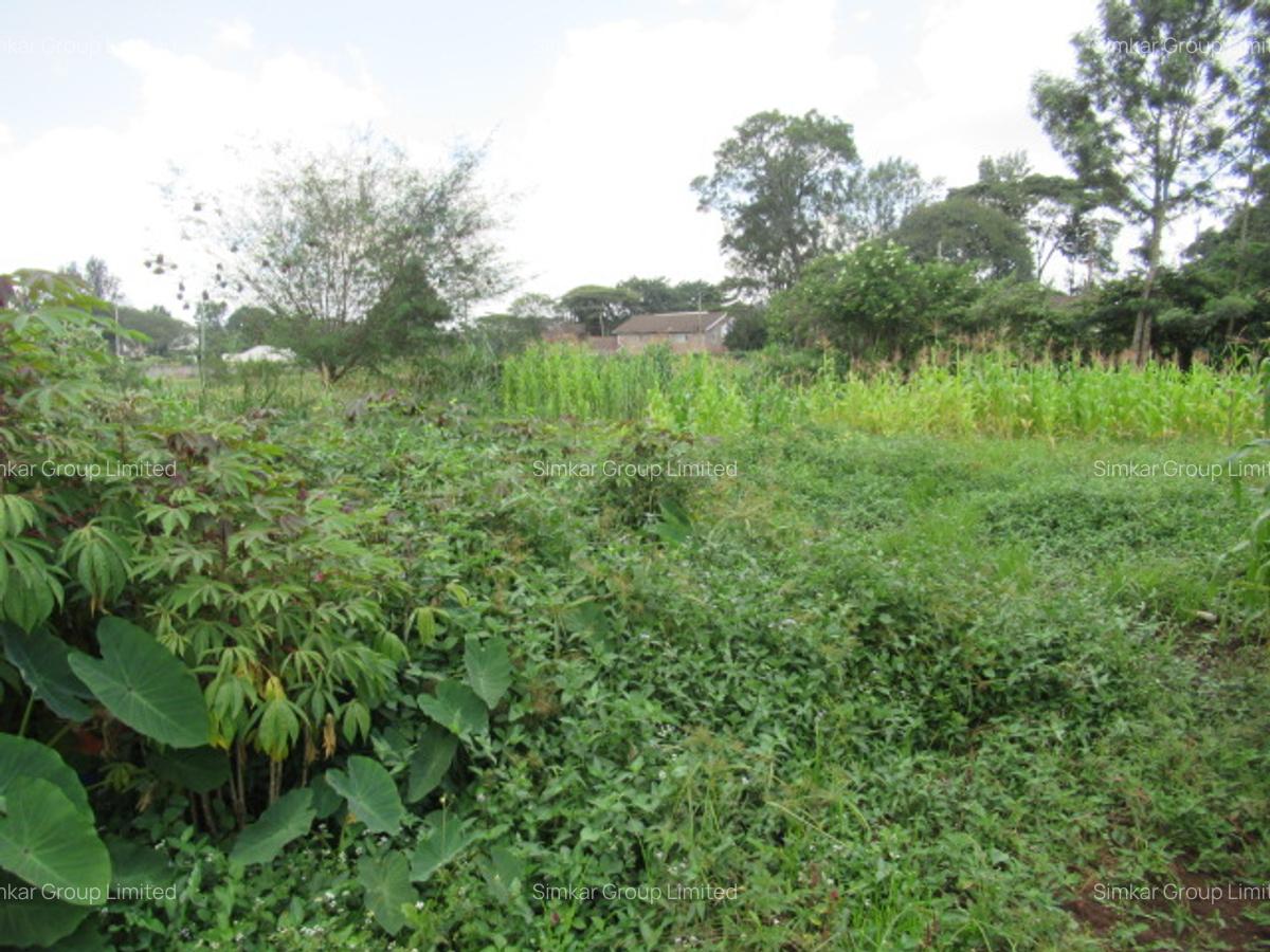 Residential Land at Mushroom Gardens - 6
