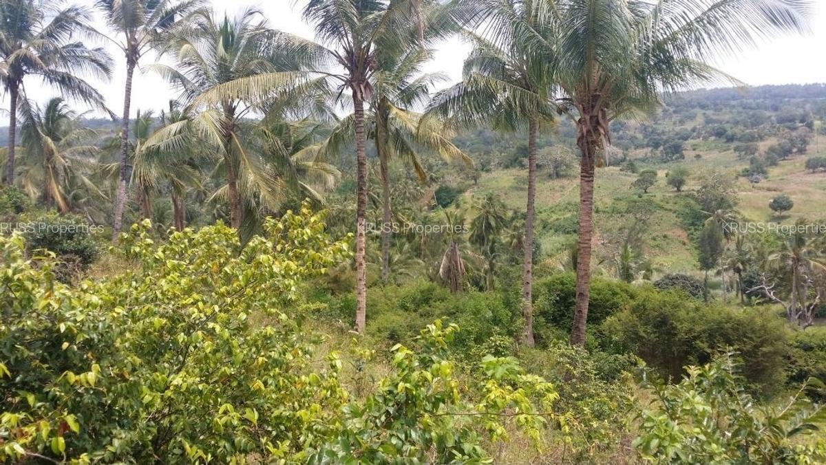 10 ac Land at Ls2295 - 8