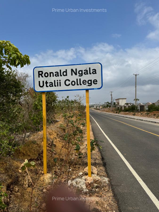 1,000 ft² Land at Vipingo Utalii - 3