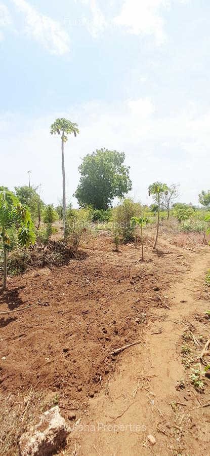 Land at Vipingo - 3