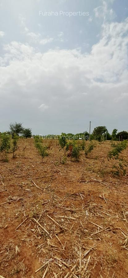 Land in Kilifi - 16