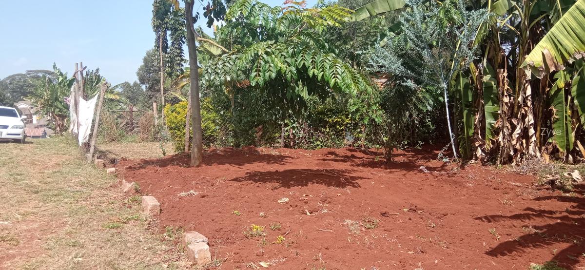 0.25 ac Land at Ruaka - 4
