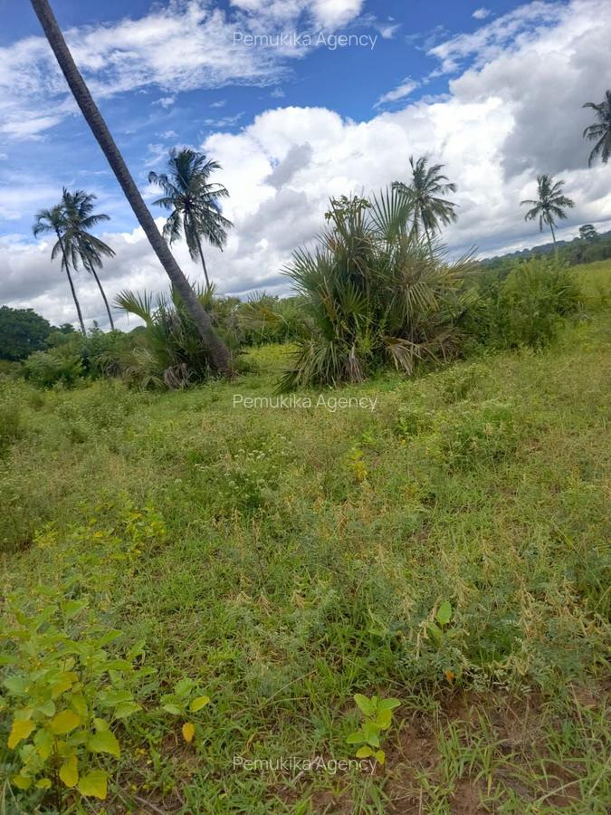 Commercial Land in Nyali Area - 7