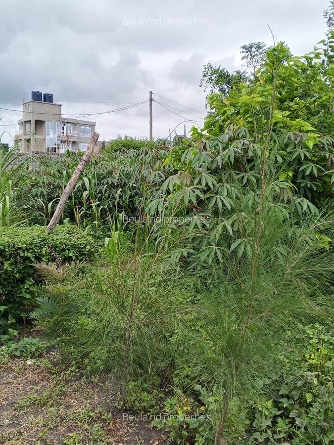 0.125 ac Residential Land at Kitengela Milimani - 3