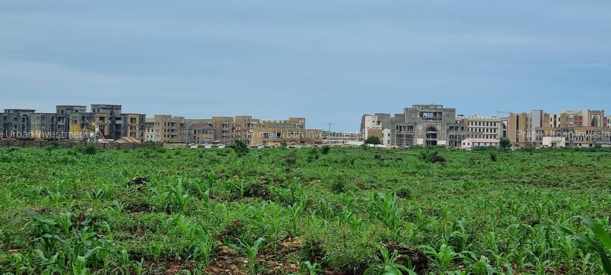 Land at Utalii - Vipingo - 14