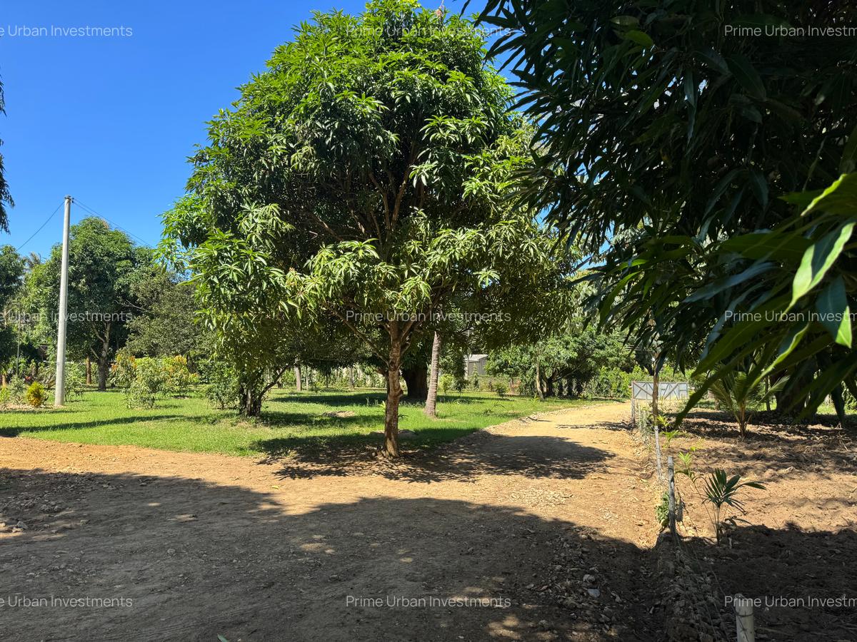 Land in Mtwapa - 8