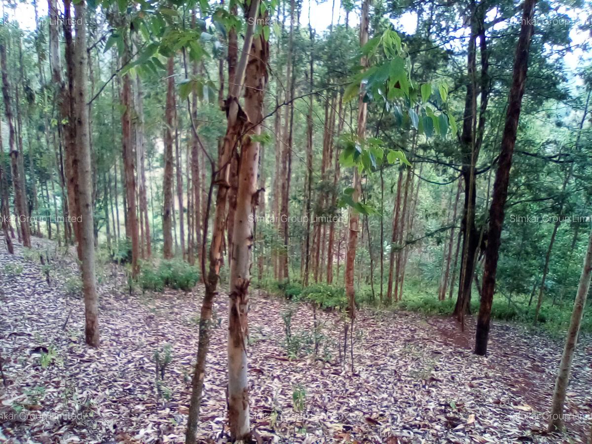 Land at Upper Matasia - 2