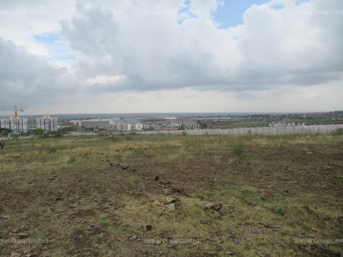 10 ac Land at Sabaki Rd - 3