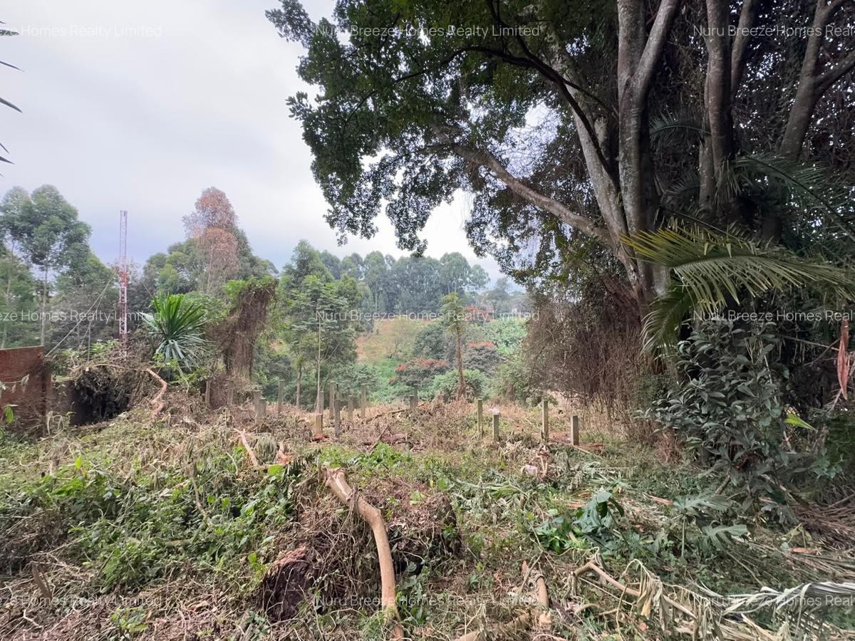 1 ac Land in Kitisuru - 8