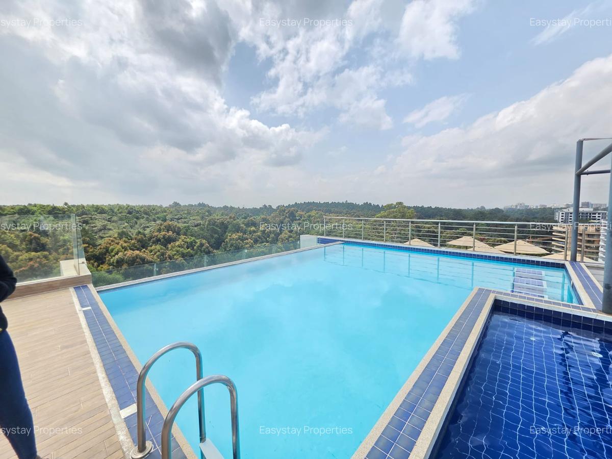 Furnished 4 Bed Apartment with En Suite in Spring Valley - 3