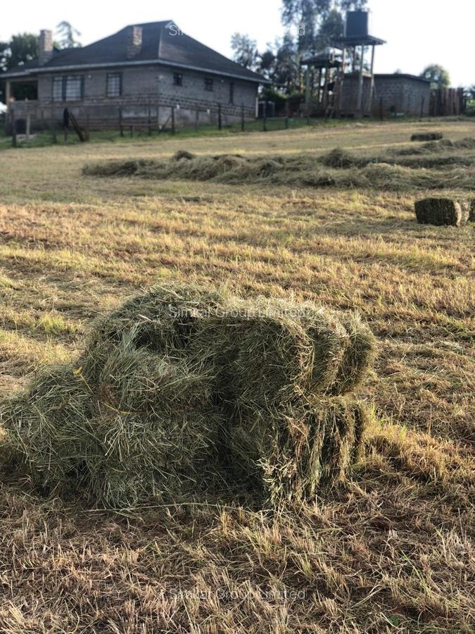 33 ac Land at Ol Kalou - 7