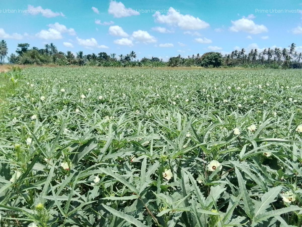 300 ac Land at Matolani - Sabaki River - 2