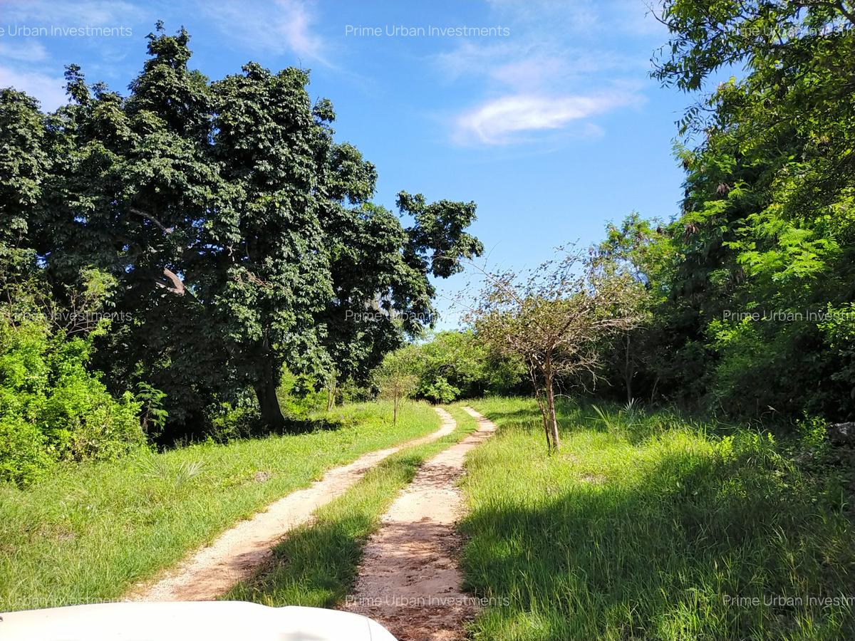 Land at Vipingo Kuruwitu Beach - 2