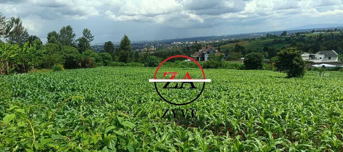 0.125 ac Land at Kanunga Kiambu Road - 6