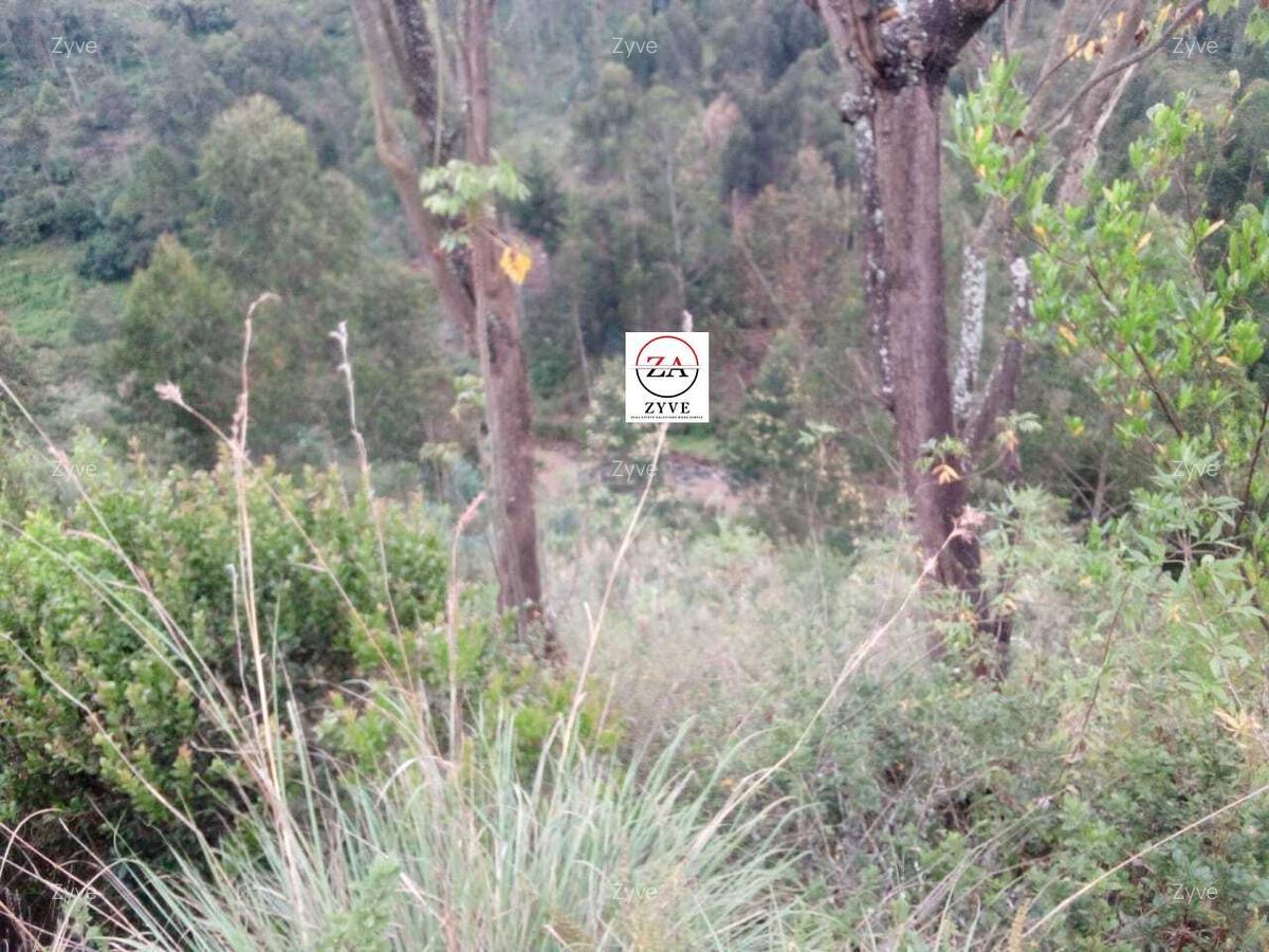 6 ac Land at Mukima Ridge - 17