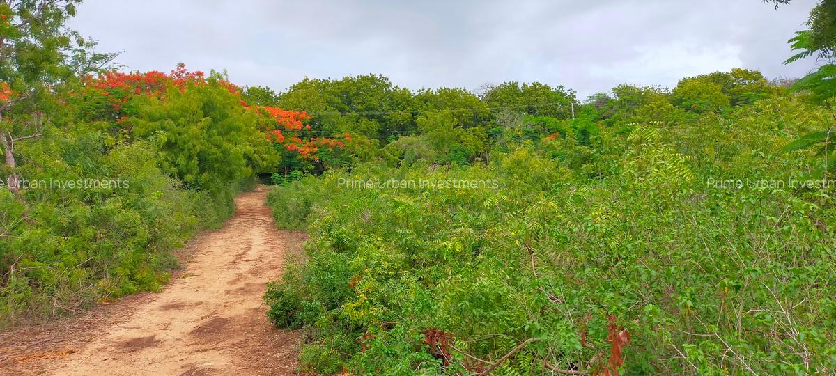 40 ac Land at Vipingo Kuruwitu - 13