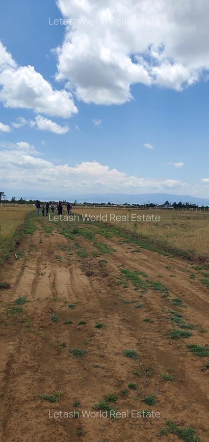 Land at Naivasha - 5