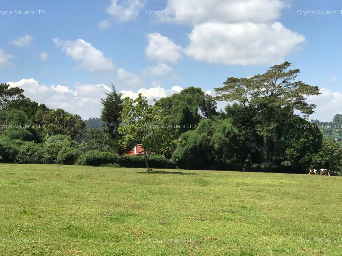 21 ac Land in Tigoni - 3