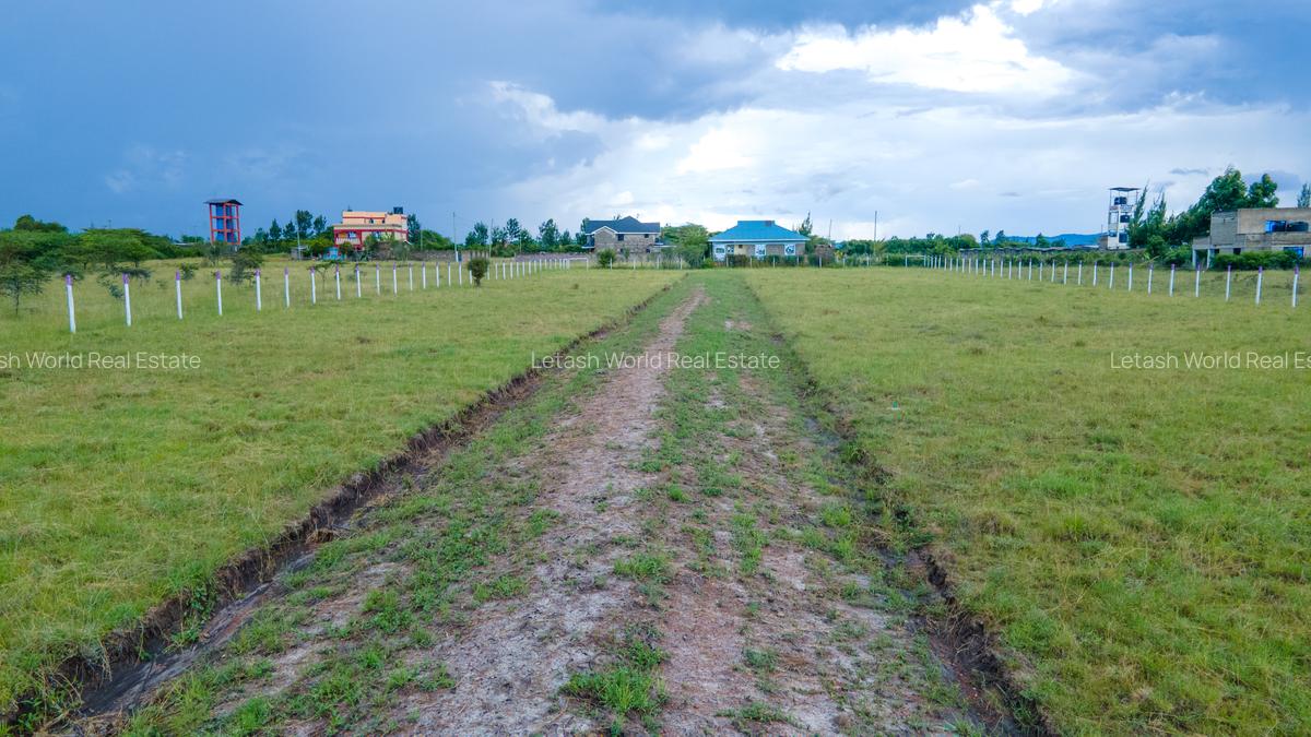 Residential Land in Malaa - 6