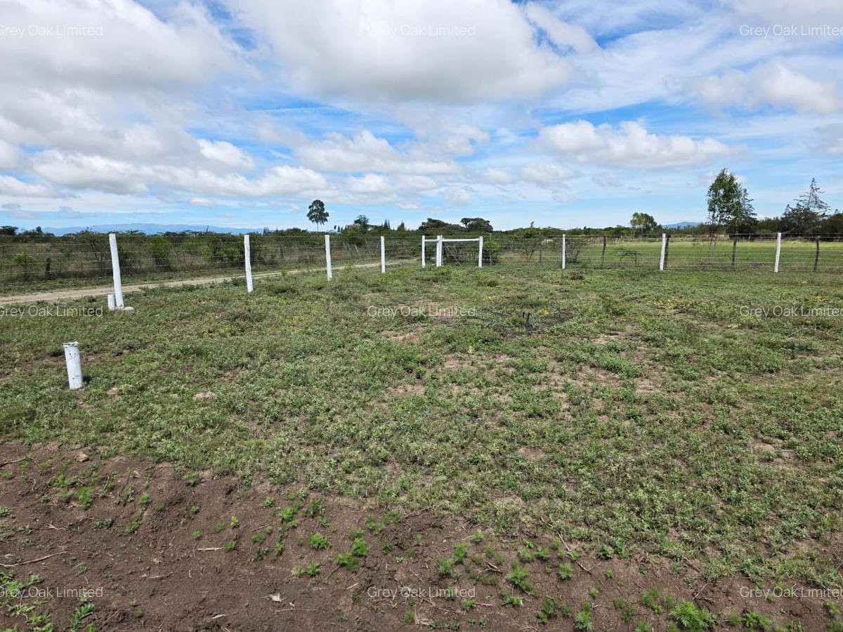 0.040 ha Residential Land in Nanyuki - 13