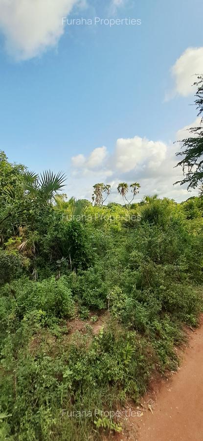Land at Tiwi Near Diani South Coast - 16