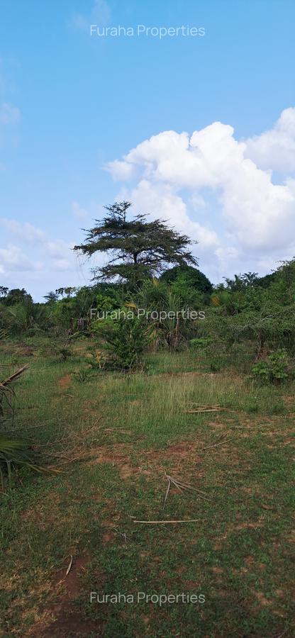 Land at Tiwi Near Diani South Coast - 6
