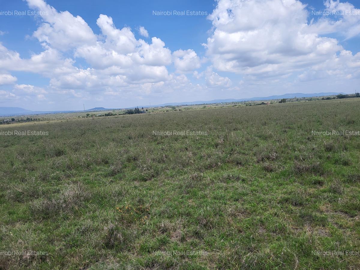 Land in Joska - 8