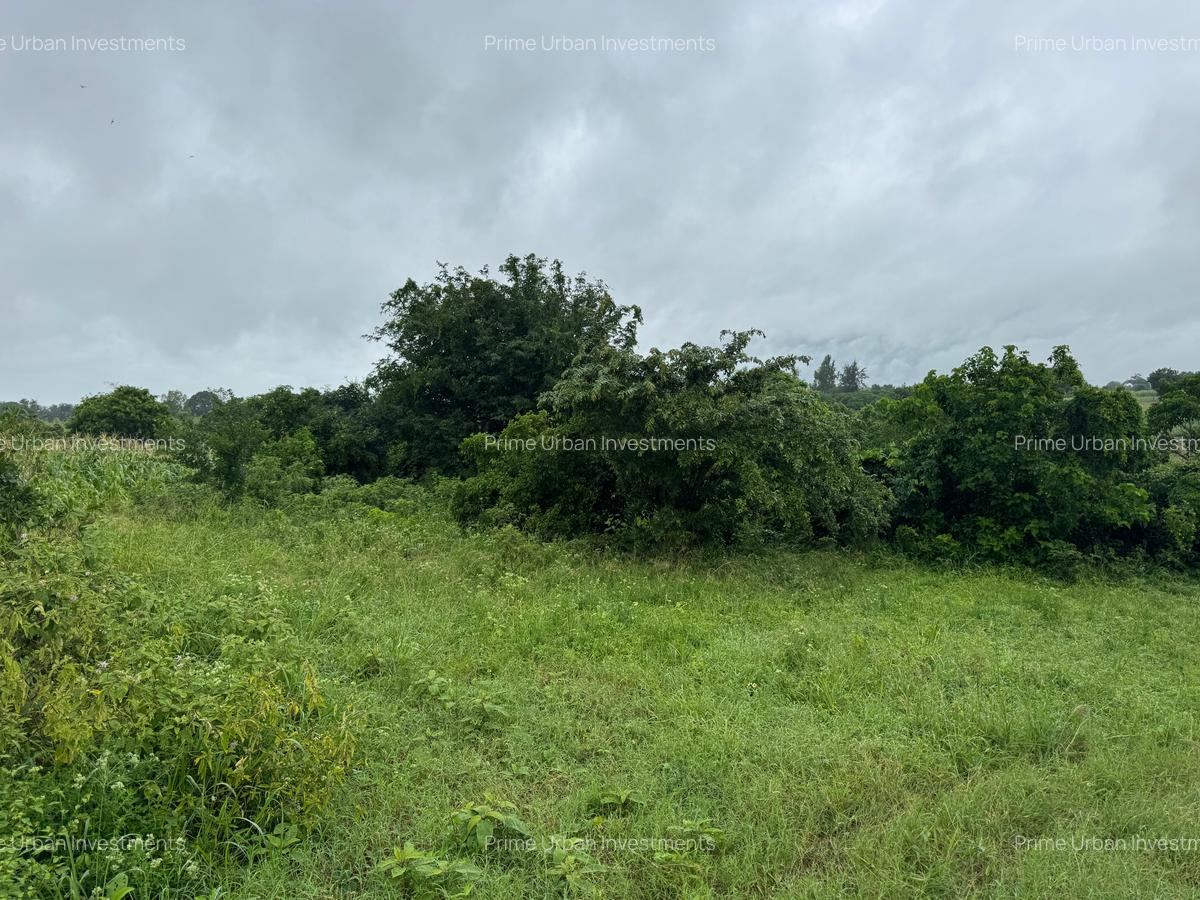 Land in Kilifi - 10