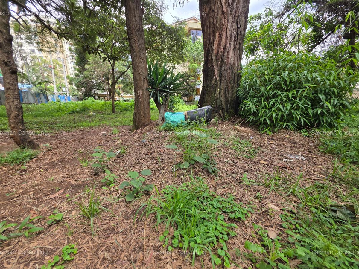 Land in Hurlingham - 7