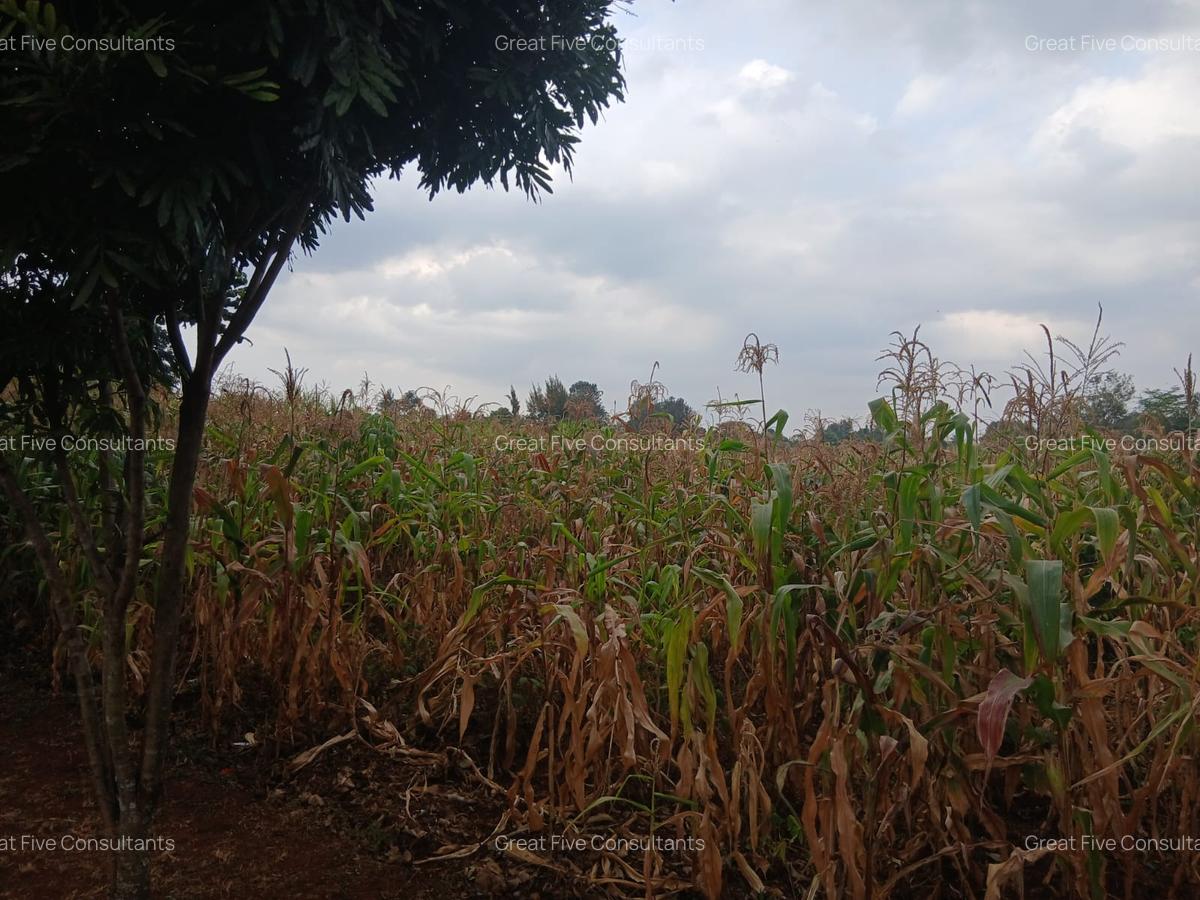 Land in Runda - 6